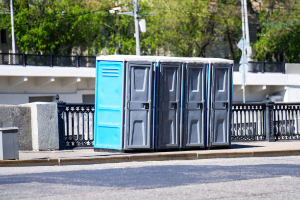 Best Affordable portable toilet rental  in Lake Leann, MI